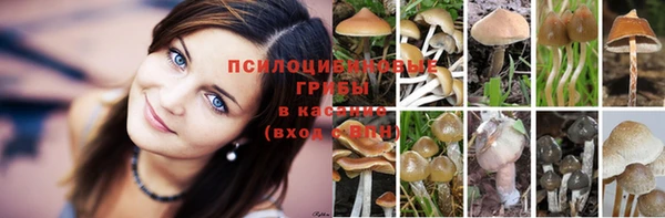 кристаллы Арсеньев