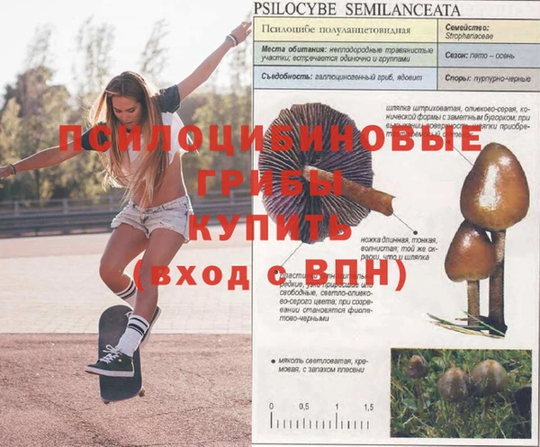 меф Аркадак