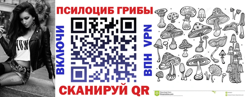 наркошоп  Новоалтайск  kraken онион  Галлюциногенные грибы GOLDEN TEACHER 